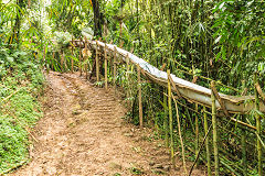 
Ready-mixed concrete chute in the rainforest, Grenada, December 2014