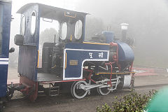 
DHR 'Baby Sivok', built by O&K in 1911, works no 6228 (prev recorded as 5130), at Ghum, March 2016