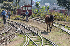 
Kalka to Shimla, February 2016