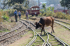 
Kalka to Shimla, February 2016