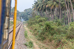 
Nilgiri Mountain Railway, March 2016