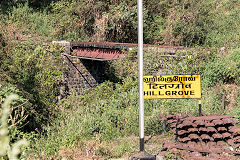 
Nilgiri Mountain Railway, March 2016