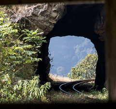 
Nilgiri Mountain Railway, March 2016