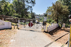 
Nilgiri Mountain Railway, March 2016