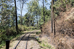 
Nilgiri Mountain Railway, March 2016