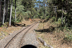 
Nilgiri Mountain Railway, March 2016