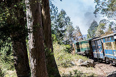 
Nilgiri Mountain Railway, March 2016