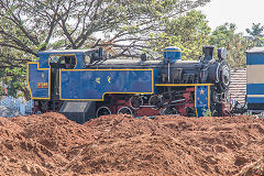 
NMR 37389 at Mettupalayam, March 2016