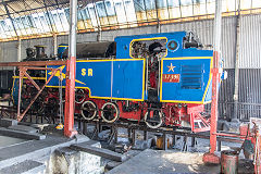 
NMR 37391 at Coonoor, March 2016