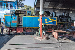 
NMR 37397 at Coonoor, March 2016