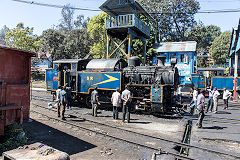 
NMR 37398 at Coonoor, March 2016