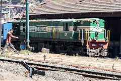 
NMR 6664 at Coonoor, March 2016