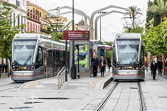 Trams 303 and 304 at Seville, Spain, May 2016