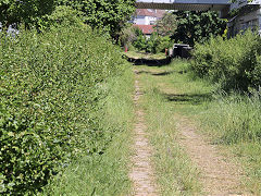 
Braunschweig branchline 2, May 2024