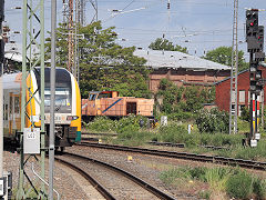 
'276 016' at Frankfurt am der Oder, Germany, May 2024