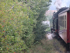 
'99 6001' at Quedlinburg, Harz Railway, September 2024
