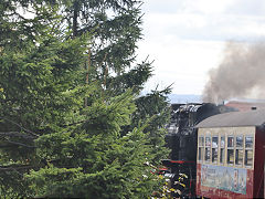 
'99 7241' on the way down the Brocken, Harz Railway, September 2024