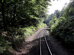 
Rugen along the line, September 2024