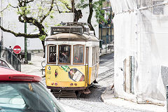 
Tram No 579 at Lisbon, May 2016