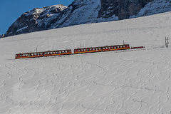 
JFB '213' and '217' at Kleine Schiedegg, February 2019