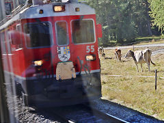 
RhB '55' between Chur and Tirano, September 2022