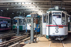 
Iasi trams '109, '168' and '103', June 2019