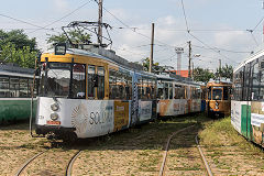 
Iasi tram '129', June 2019