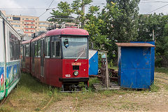 
Iasi tram '163', June 2019