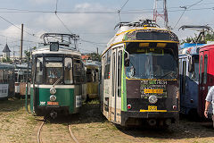 
Iasi trams '307' and '809', June 2019