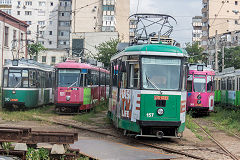 
Iasi trams  '310', '161', '157' and '303', June 2019