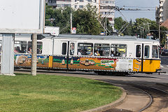 
Iasi tram '316', June 2019