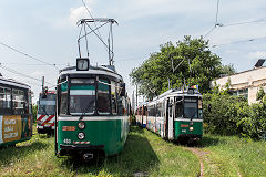 
Iasi trams '453' and '446', June 2019