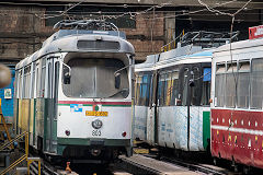 
Iasi tram '803', June 2019