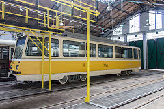 Timisoara tram '334', June 2019