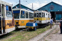 Timisoara trams '353' and '360', June 2019