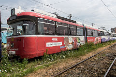
Timisoara tram '2041', June 2019