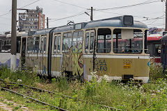 
Timisoara tram '3036', June 2019