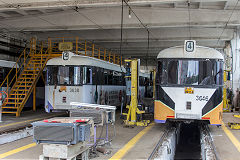 
Timisoara tram '3638' and '3646', June 2019