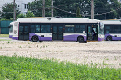 Timisoara trolleybus '02', June 2019