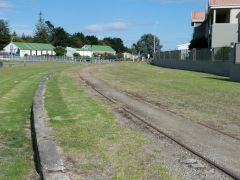 
Gisborne harbour branch, Hawkes Bay, January 2013