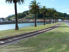 
Gisborne harbour branch, Hawkes Bay, January 2013