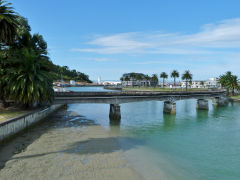 
Gisborne harbour branch, Hawkes Bay, January 2013