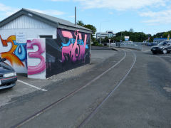 
Gisborne harbour branch, Hawkes Bay, January 2013