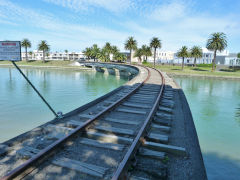 
Gisborne harbour branch, Hawkes Bay, January 2013