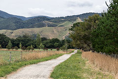 
Greytown branch trackbed, January 2017