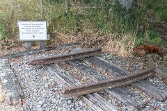 
Greytown branch track with rails made in Darlington, County Durham, January 2017