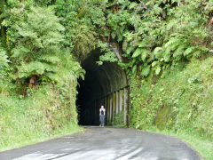 Makahu Tunnel, Taranaki, January 2013