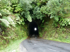 Makahu Tunnel, Taranaki, January 2013