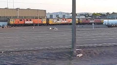 Palmerston North, On shed in passing was EF 30157, 30232, January 2013