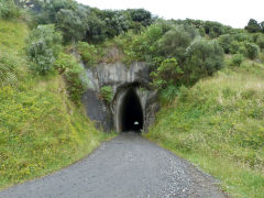 
Tangahoe tunnel, Taranaki, January 2013